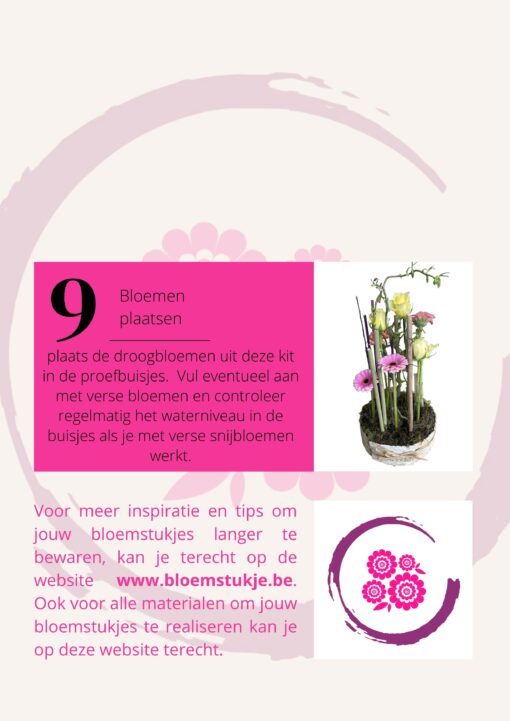 DIY pakket met droogbloemen - Afbeelding 6