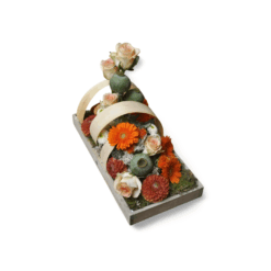 Herfsttuin met houtband