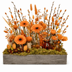 Aperitiefworkshop bloemschikken zondag 20 september 10.30h - 12.30h Wondelgem
